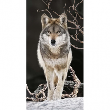 Strandtuch Wolf 76x152 cm
